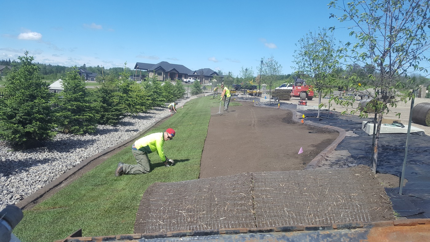 Sod Installation